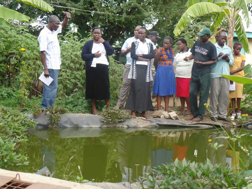 capacity building in permaculture