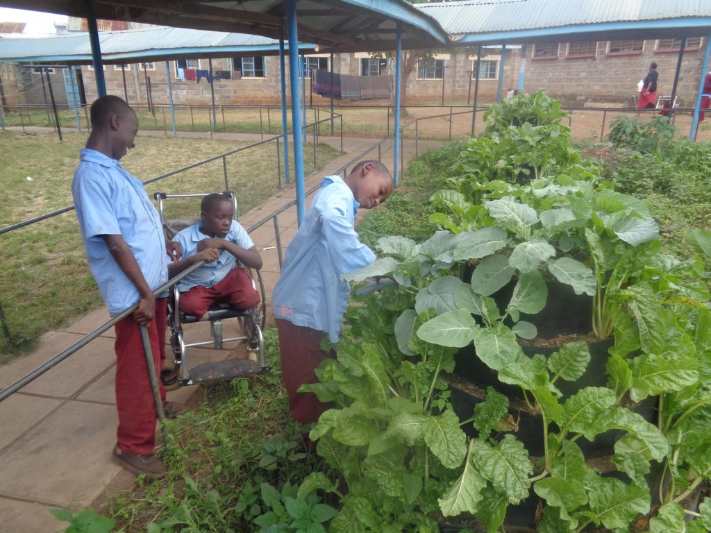 permaculture programs in kenya - in schools
