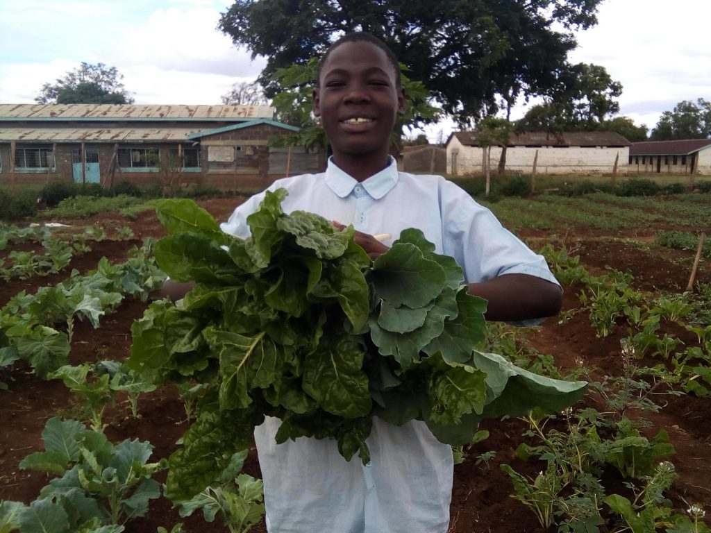 permaculture program in schools