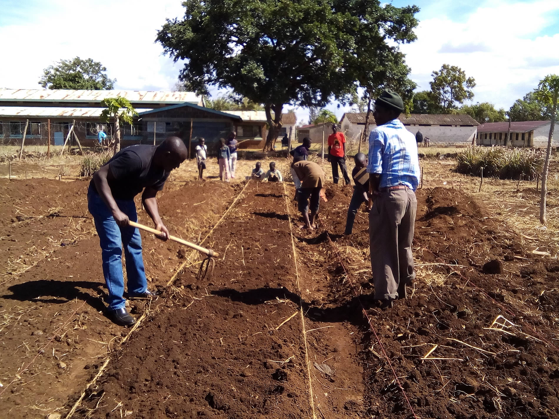 Permaculture Garden Design
